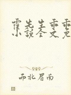霍先生乖乖宠我小说全文免费阅读