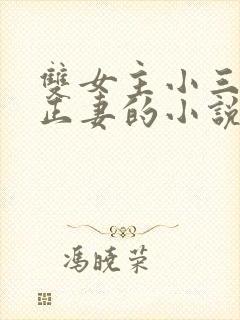 双女主小三爱上正妻的小说
