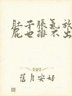 肚子胀气放不了屁也排不出来怎么办