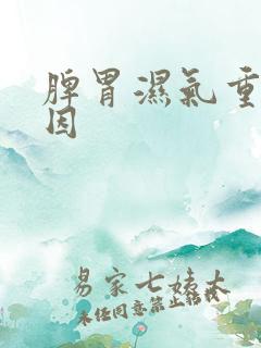 脾胃湿气重的原因