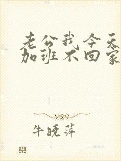 老公我今天晚上加班不回家