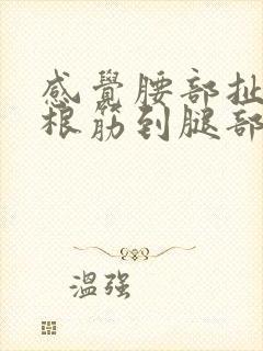 感觉腰部扯着一根筋到腿部疼