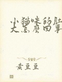 小猫咪的肚子很大怎么回事