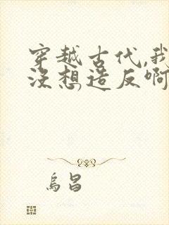 穿越古代,我真没想造反啊全本免费阅读