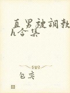 直男被调教成受h合集