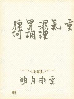 脾胃湿气重该如何调理