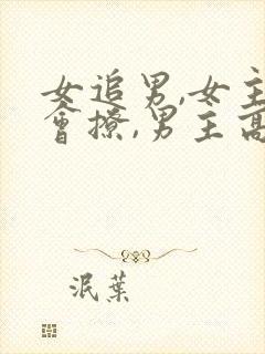 女追男,女主很会撩,男主高冷禁欲古言