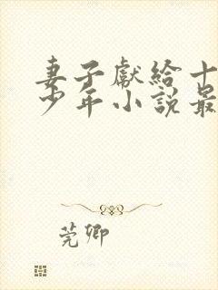 妻子献给十九岁少年小说最新章节更