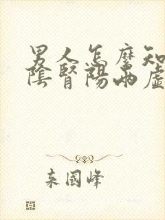 男人怎么知道肾阴肾阳两虚