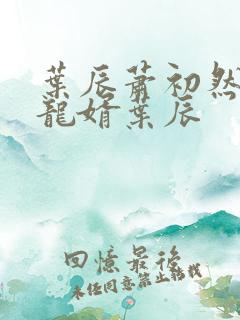 叶辰萧初然上门龙婿叶辰