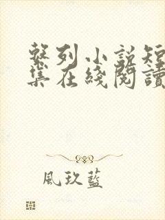 系列小说短篇全集在线阅读