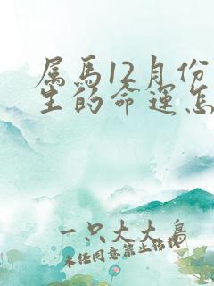 属马12月份出生的命运怎么样