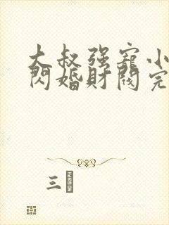 大叔强宠小娇妻闪婚财阀完整