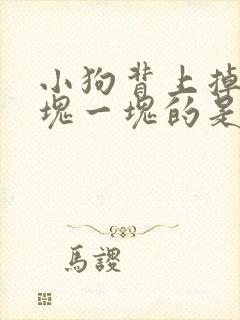 小狗背上掉毛一块一块的是怎么回事