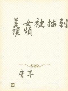 美女被插到很爽视频