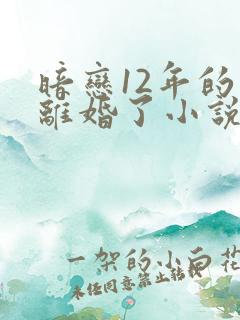 暗恋12年的他离婚了小说免费阅读无弹窗