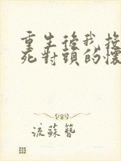 重生后我投入了死对头的怀抱短剧