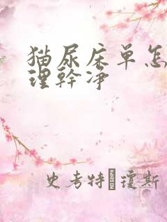 猫尿床单怎么处理干净