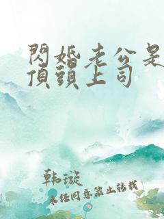 闪婚老公是我的顶头上司