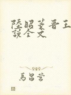 陆昭菱晋王的小说全文