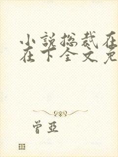 小说总裁在上我在下全文免费阅读