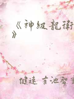 《神级龙卫沈浪》