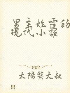 男主姓霍的总裁现代小说