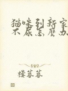 猫咪到新家不拉不尿怎么办