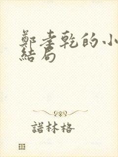 郑孝乾的小老婆结局