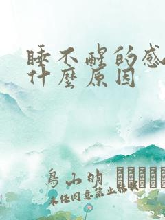 睡不醒的感觉是什么原因