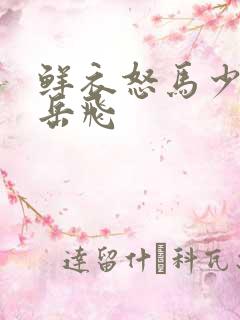 鲜衣怒马少年时岳飞