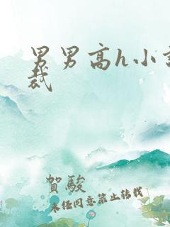 男男高h小说总裁