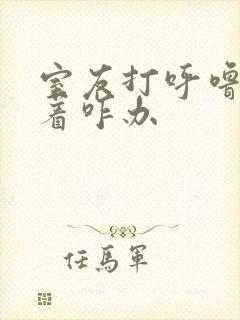 室友打呼噜睡不着咋办