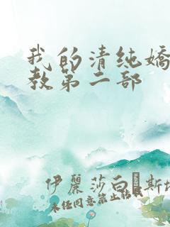 我的清纯娇妻调教第二部