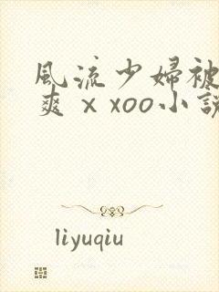 风流少妇被粗大爽ⅹxoo小说