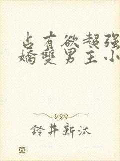 占有欲超强的病娇双男主小说