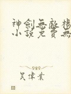 神剑无敌杨小天小说免费无弹窗