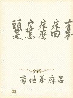 头皮痒痒有疙瘩是怎么回事怎么办