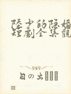 陆少的隐婚罪妻短剧全集观看