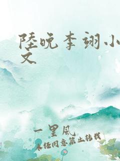 陆晚李翊小说全文