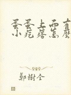 蛋蛋上面有一个小疙瘩怎么回事