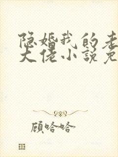 隐婚我的老公是大佬小说免费阅读