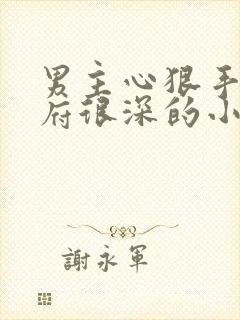 男主心狠手辣城府很深的小说