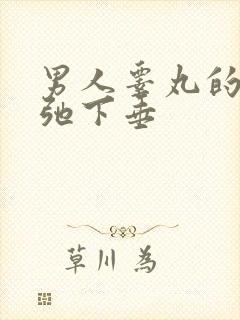 男人睾丸的皮松弛下垂