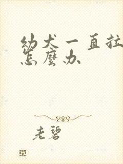 幼犬一直拉软便怎么办