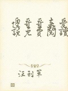 傻哥哥来爱我小说免费阅读无弹窗