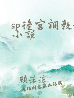 sp后宫调教令小说