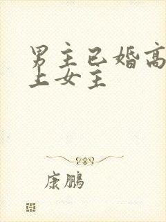 男主已婚高官看上女主