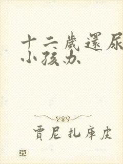 十二岁还尿床的小孩办