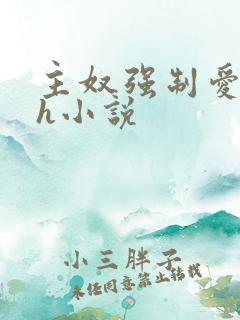 主奴强制爱双性h小说